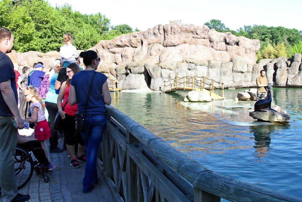 wieczór w zoo 1