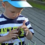 Wizyta w opolskim ZOO chłopczyk trzyma w rękach muszlę ze ślimakiem