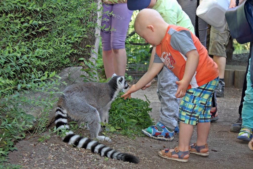 wieczór w zoo 4