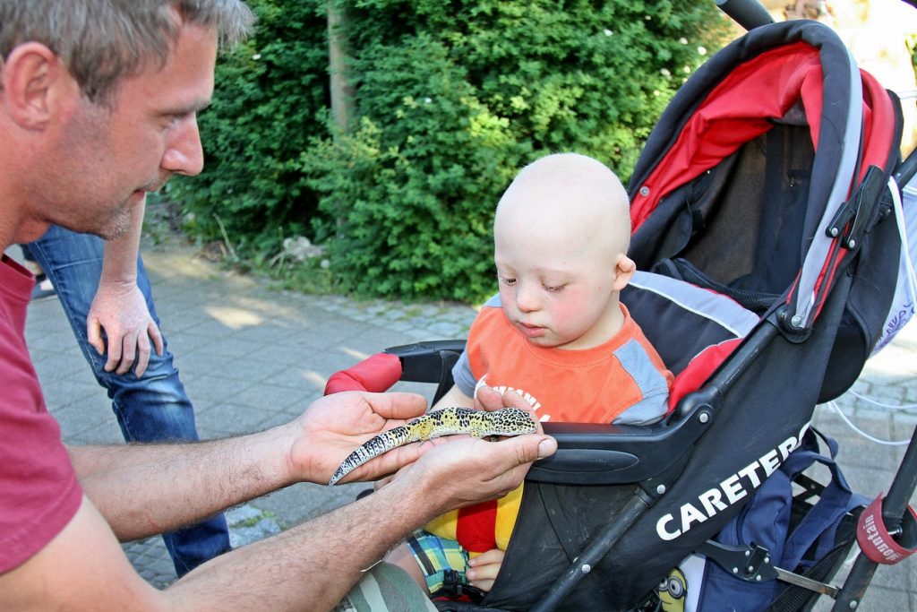 wieczór w zoo 7