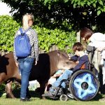 Wizyta w opolskim ZOO podopieczna fundacji głaszcze tapira