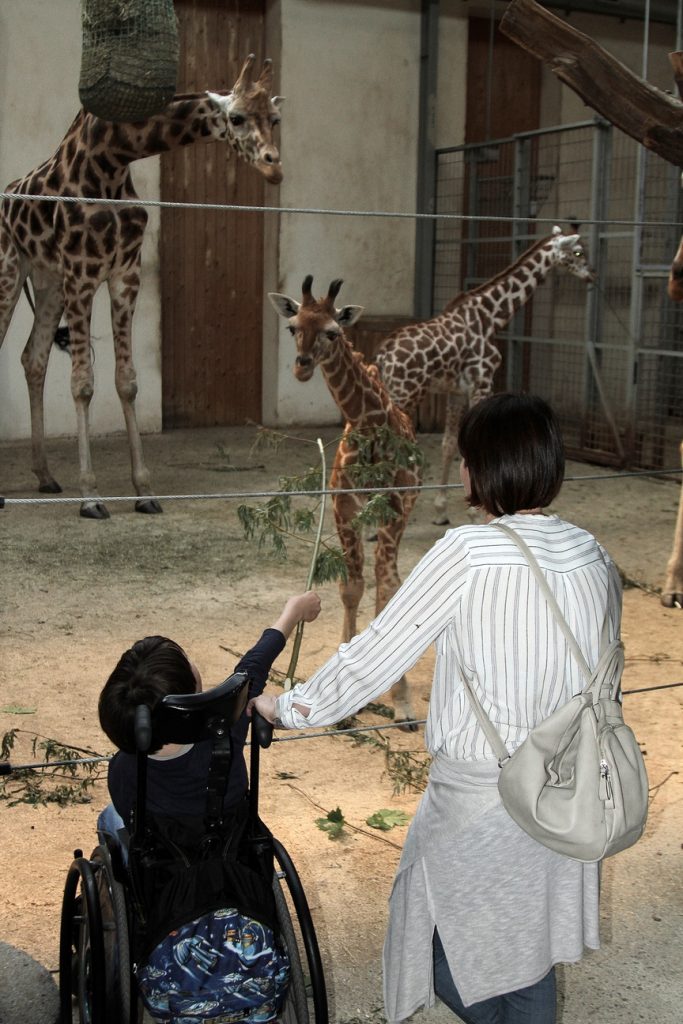 wieczór w zoo 9