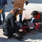 korowód fundacji dom 2019 dwie kobiety głaszczą czarnego psa