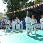 23 festyn fundacji dom pokaz judo