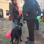 korowód fundacji dom 2017 kobieta z czarnym psem i mężczyzna stoją rozmawiają na rynku w Opolu