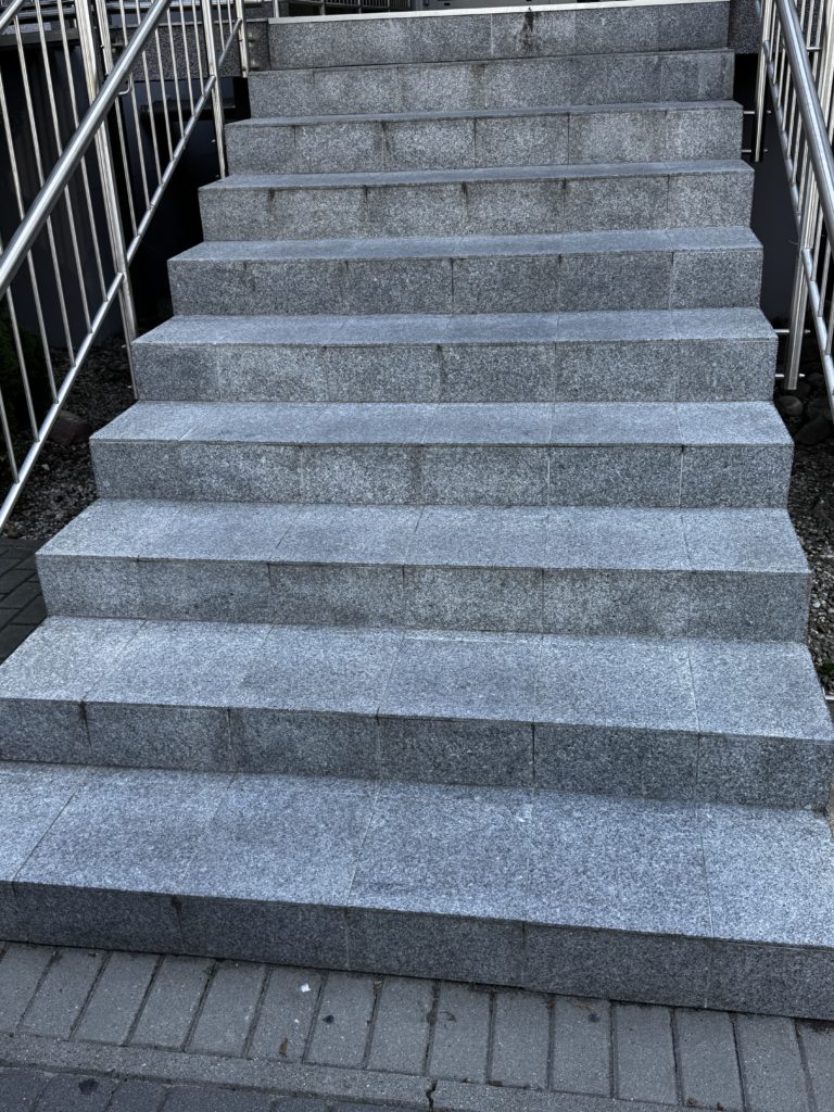 img 9744