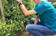 Formy terapii/ rehabilitacji