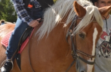 Formy terapii/ rehabilitacji